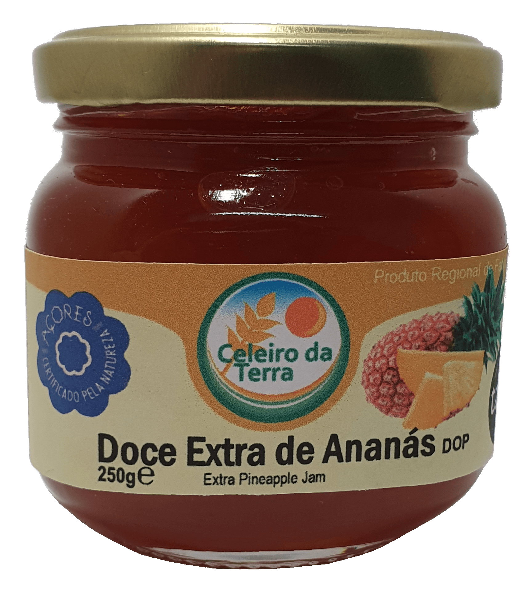Compota de Ananás 250gr